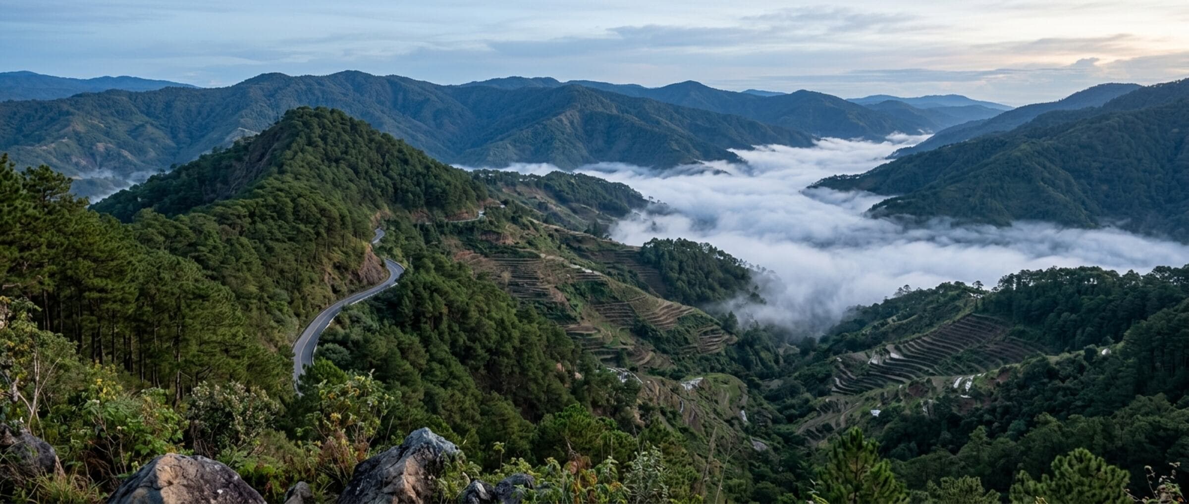 Pine forest ridges above cloud-filled valleys near Baguio